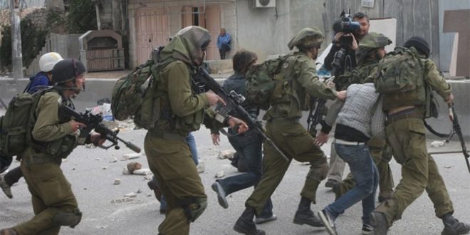 بازداشت یک فلسطینی در طوباس توسط نیروهای اشغالگر