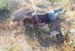 Nubbul ve Al Zahra Beldelerine Roketli Saldırıda Bir Çocuk Şehit Biri De Yaralı